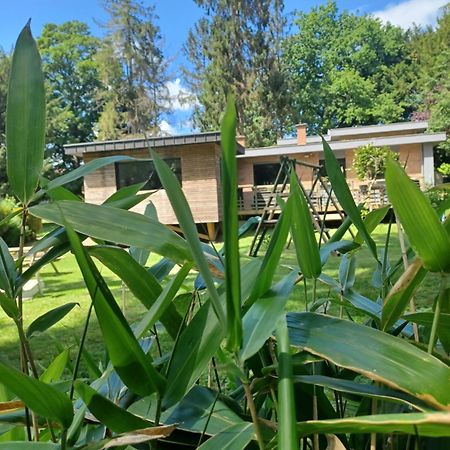 L'Hothentique Proche Arras Bed & Breakfast Saint-Laurent-Blangy Екстериор снимка