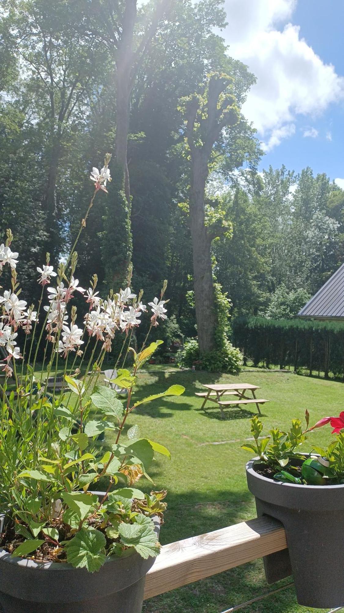 L'Hothentique Proche Arras Bed & Breakfast Saint-Laurent-Blangy Екстериор снимка
